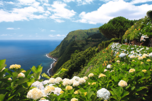 Ponta do Sossego, São Miguel, Azores, Portugal
