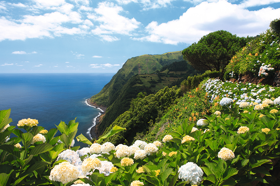 Ponta do Sossego Viewpoint
