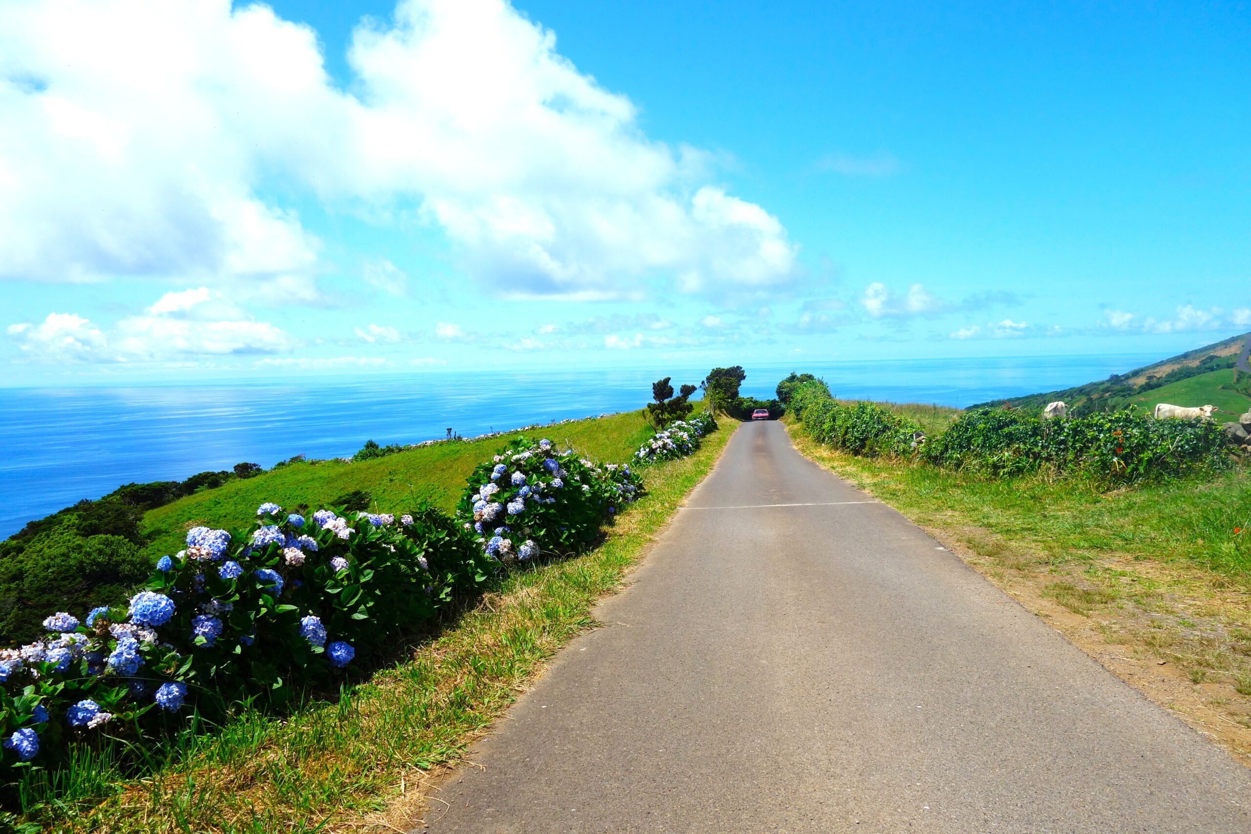 Weather in the Azores