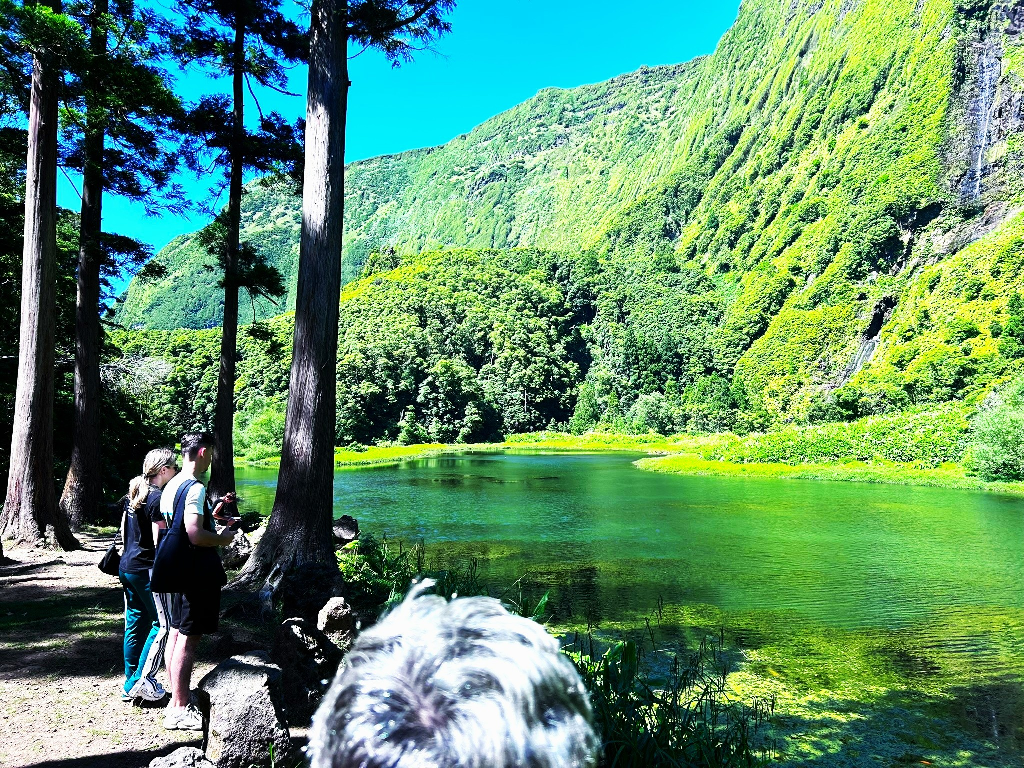 Waterfall in Flores Island