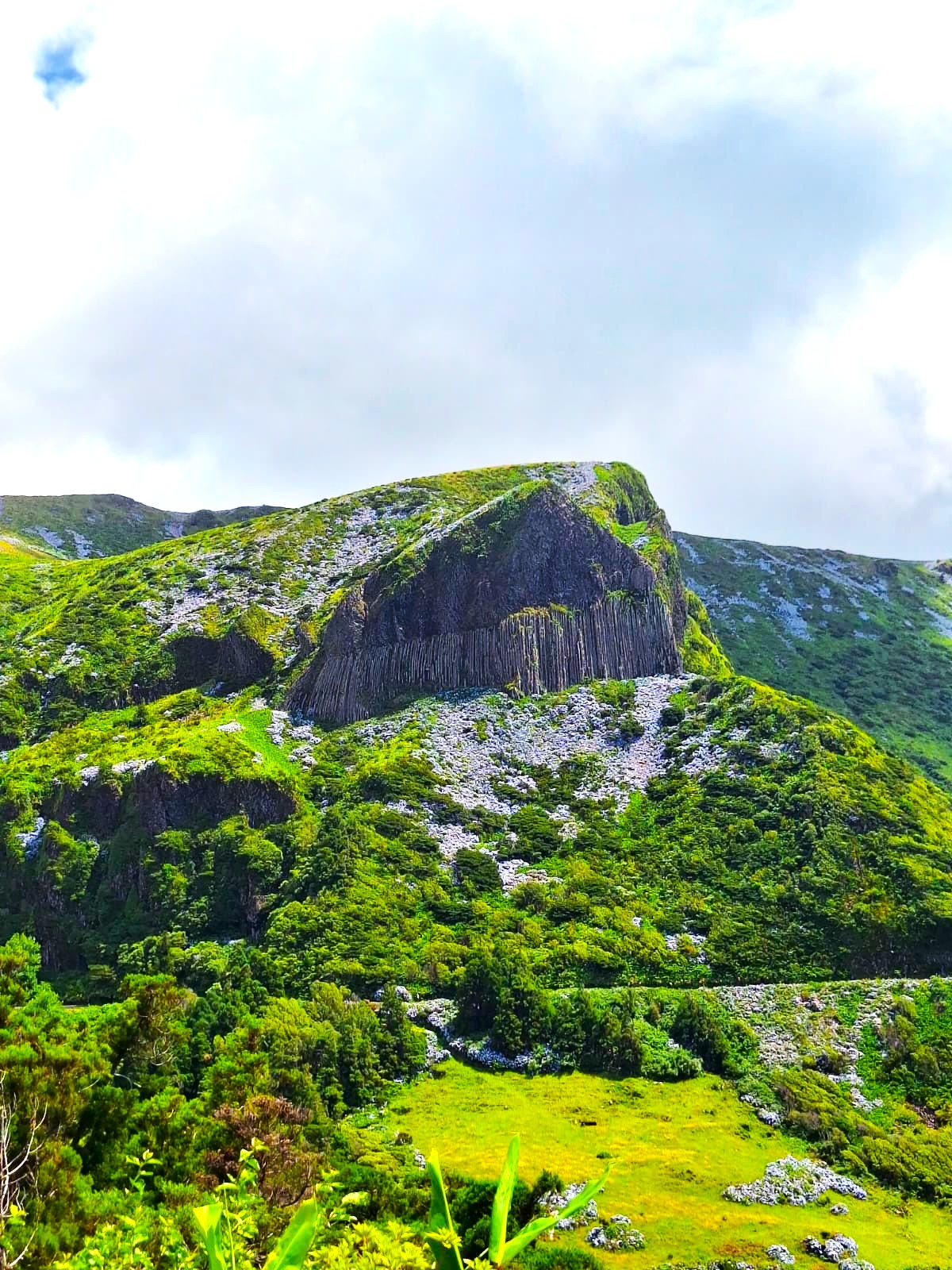 Viewpoint Rocha dos Bordões, Flores island, Azores, Portugal