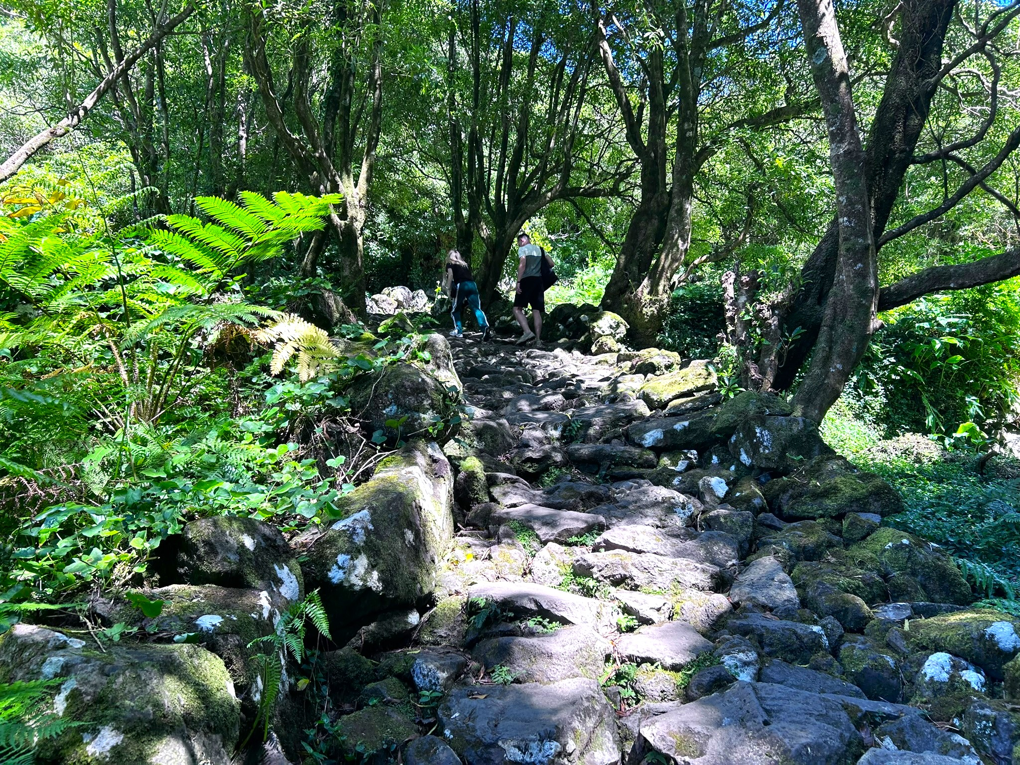 Hiking the Most Beautiful Trails in Flores Island