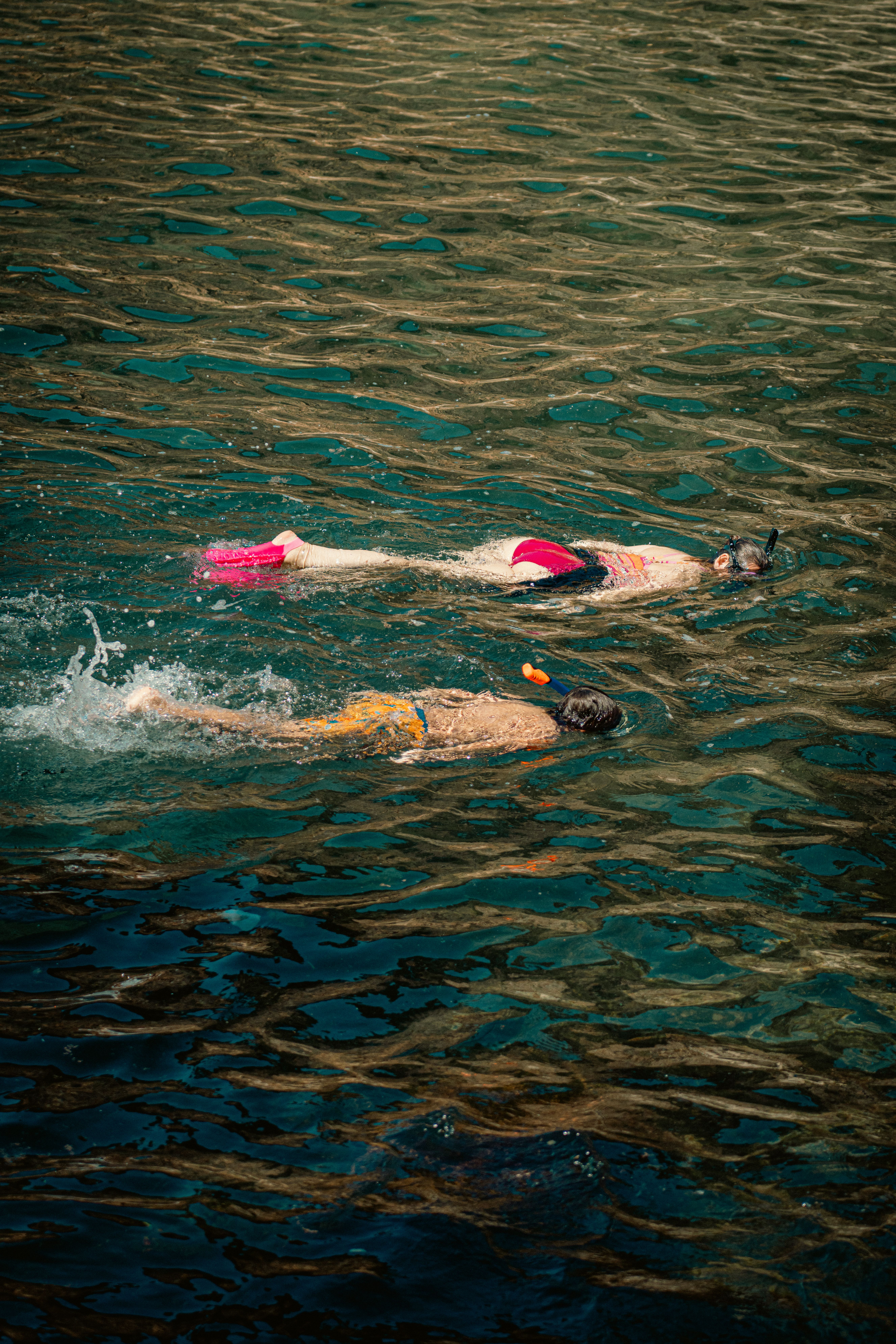 Diving and Snorkeling in Flores Island